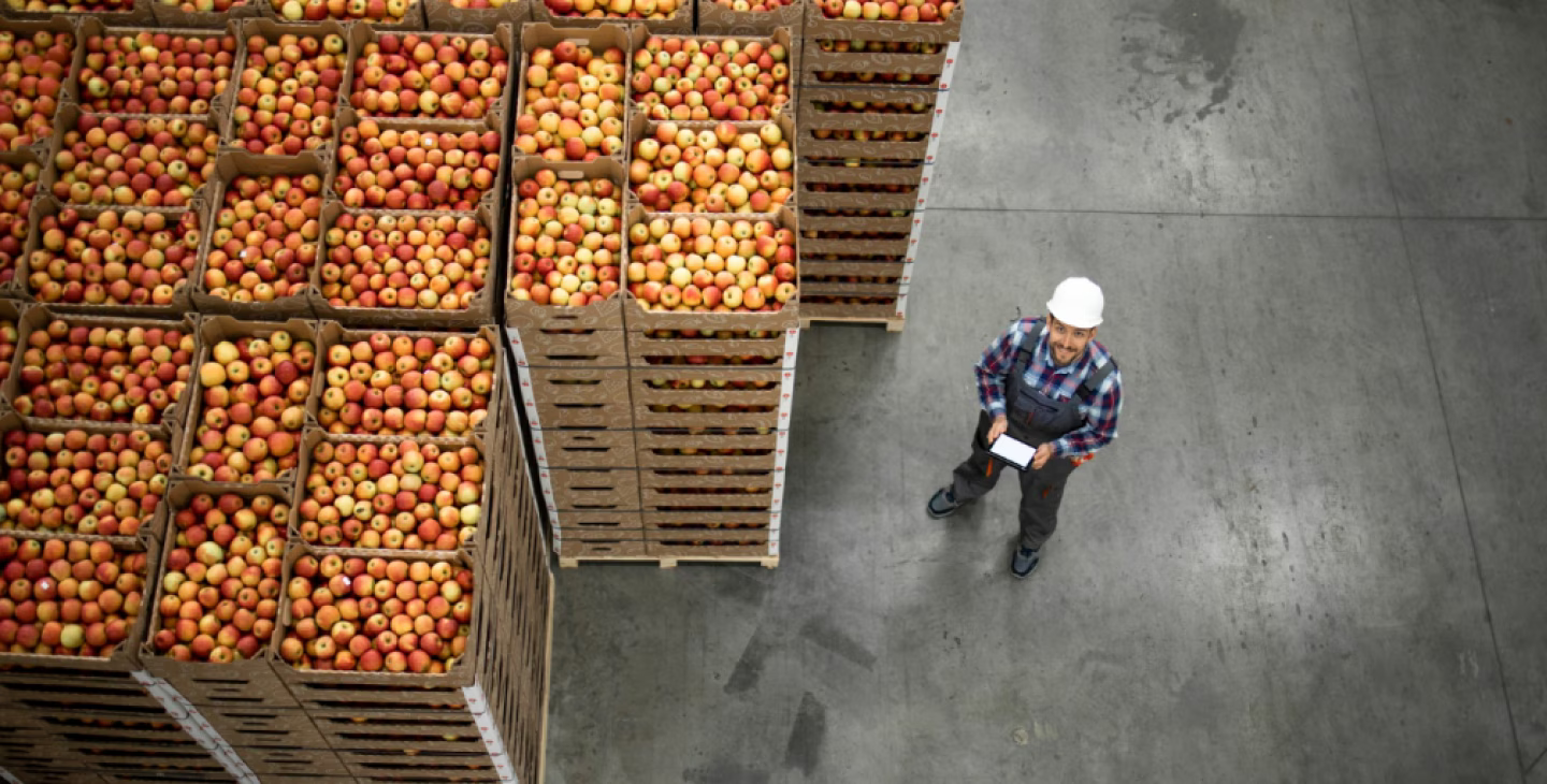 article agroalimentaire ERP au cœur des defis de transformation du secteur.avif