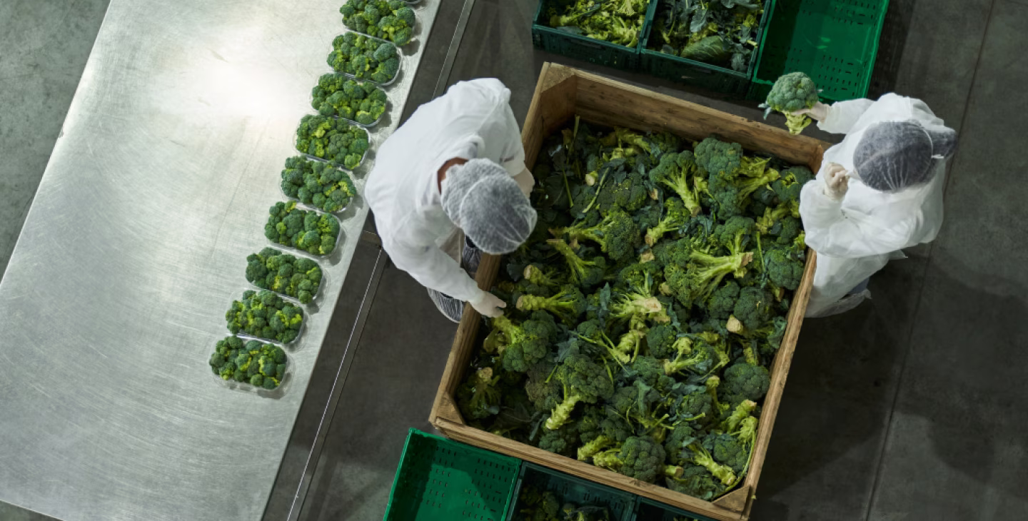 article industrie agroalimentaire quels leviers pour accelerer votre decarbonation.avif