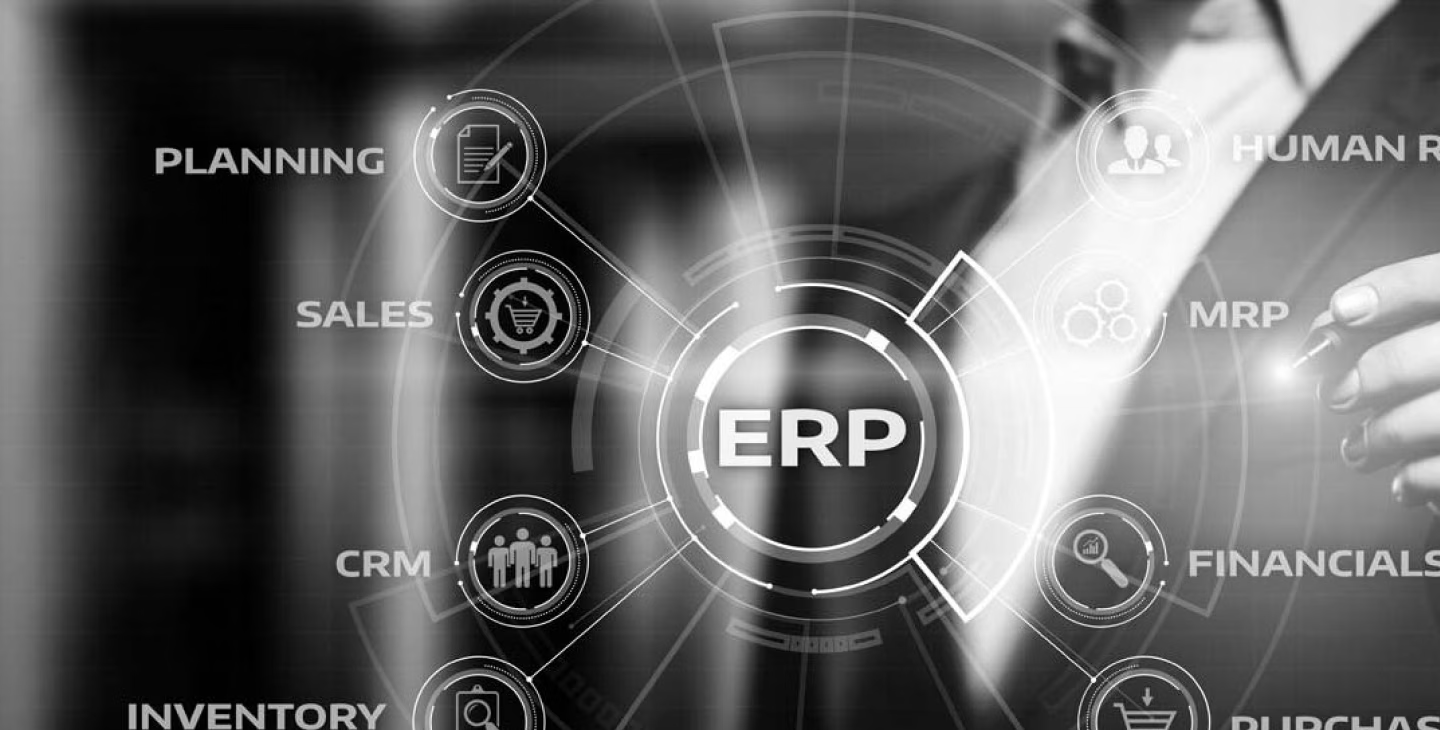 article integrateur erp pourquoi deleguer implementation de son erp.avif
