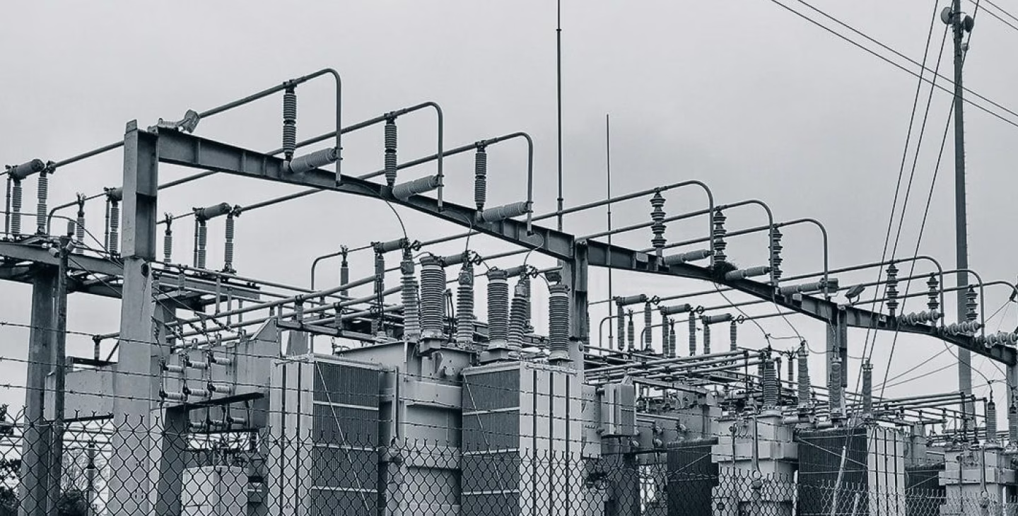 article sergi transformation protector.avif