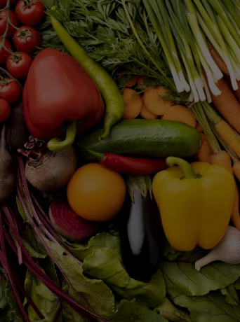 page erp agroalimentaire enjeu 2.avif